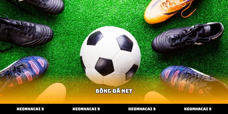 Xem tỷ số trực tiếp tại bóng đá net nhanh chóng