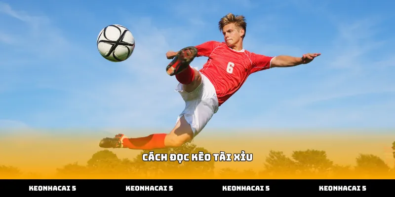 Hướng dẫn cách đọc kèo tài xỉu qua các thông số cơ bản