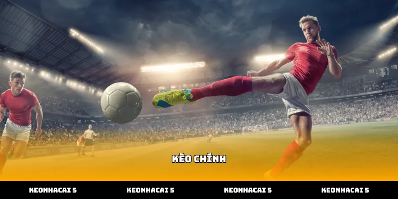 Cách kiểm tra tỷ lệ kèo chính chính xác nhất