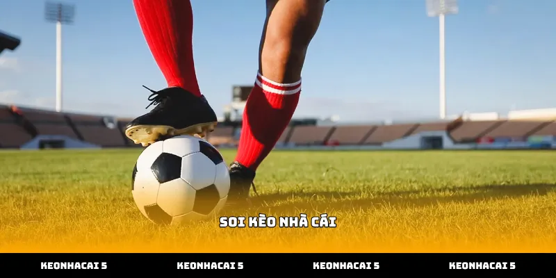 Kỹ thuật soi kèo nhà cái qua biến động tỷ lệ