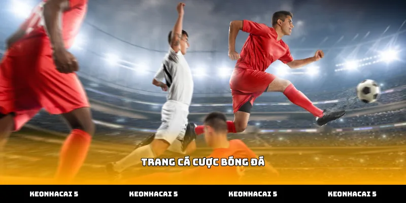 Trang cá cược bóng đá cung cấp tỷ lệ kèo bóng đá chính xác